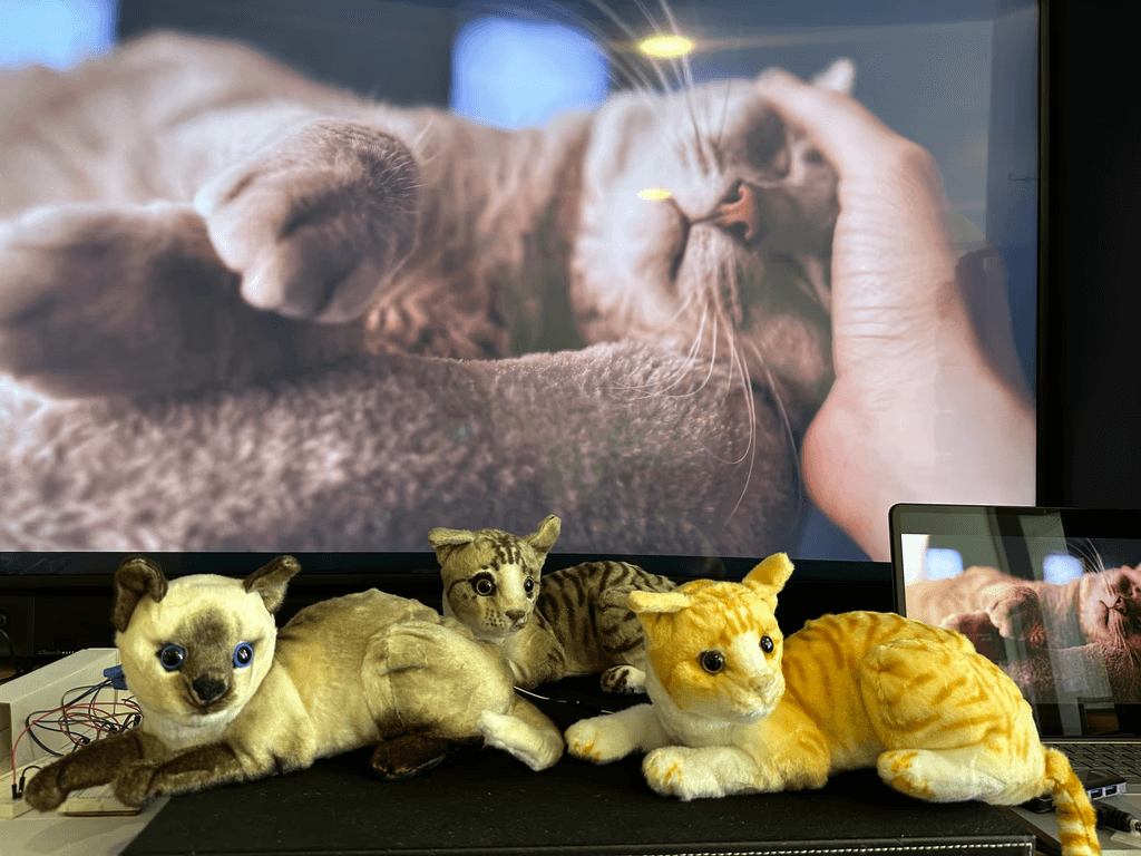 Haptic cat petting simulator