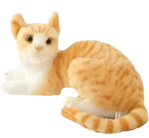 Sensory cat plush used in memory care sessions