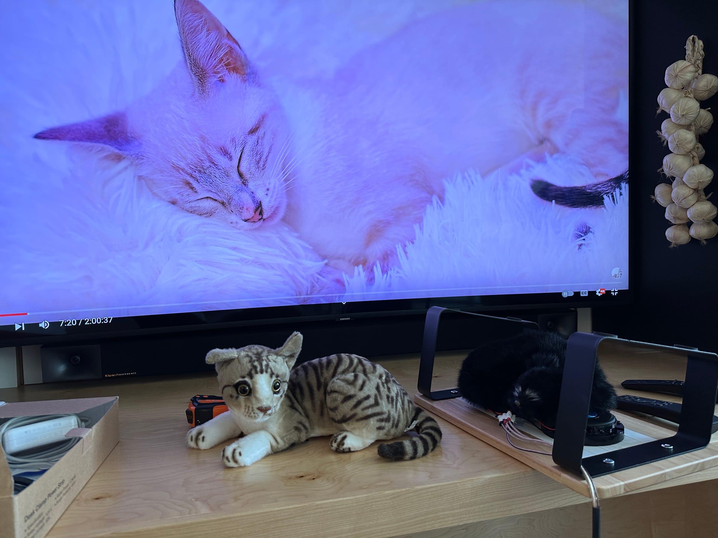 Plush cat with embedded sensors