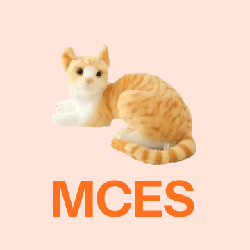 Memory Care Experience Station